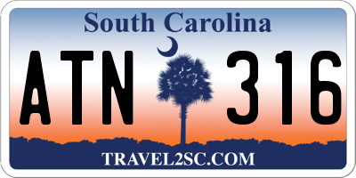 SC license plate ATN316