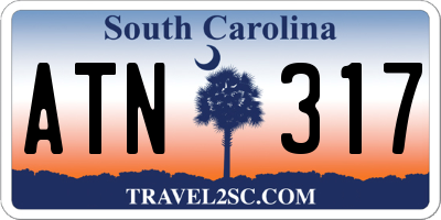 SC license plate ATN317