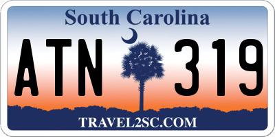 SC license plate ATN319