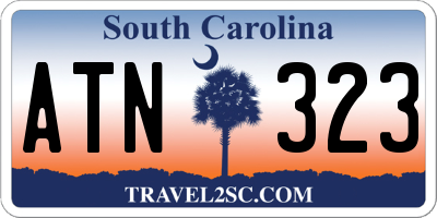 SC license plate ATN323