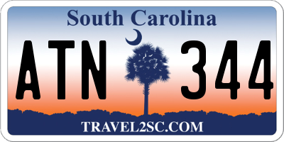 SC license plate ATN344