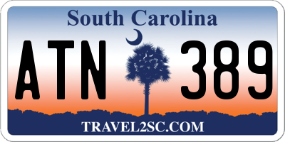 SC license plate ATN389