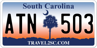 SC license plate ATN503