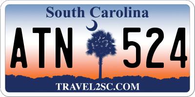 SC license plate ATN524