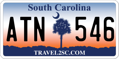 SC license plate ATN546