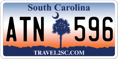 SC license plate ATN596