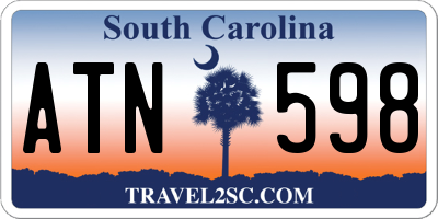 SC license plate ATN598