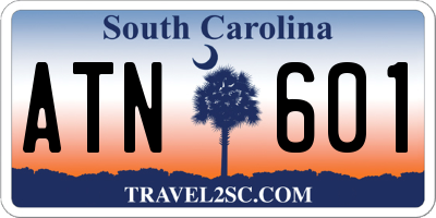 SC license plate ATN601