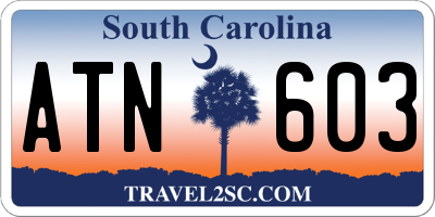 SC license plate ATN603