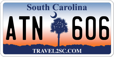 SC license plate ATN606