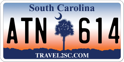 SC license plate ATN614