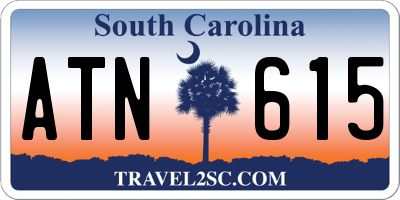 SC license plate ATN615