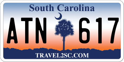 SC license plate ATN617