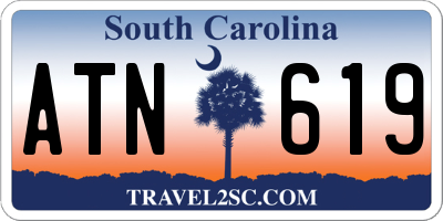 SC license plate ATN619