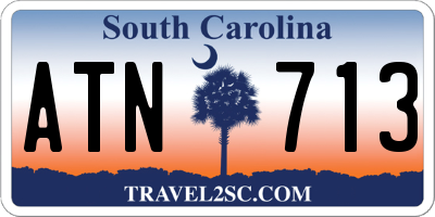 SC license plate ATN713