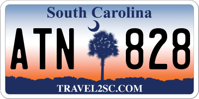 SC license plate ATN828