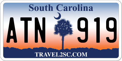 SC license plate ATN919