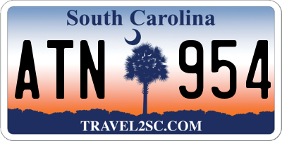 SC license plate ATN954