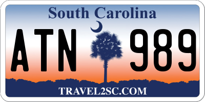 SC license plate ATN989