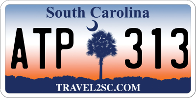 SC license plate ATP313