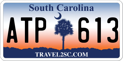 SC license plate ATP613