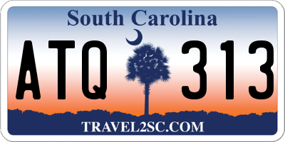 SC license plate ATQ313
