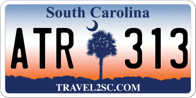 SC license plate ATR313