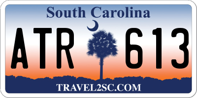 SC license plate ATR613