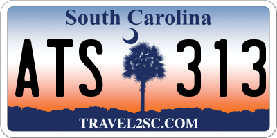 SC license plate ATS313
