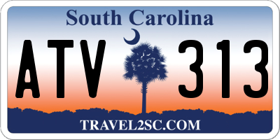 SC license plate ATV313