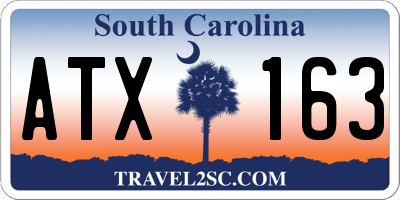 SC license plate ATX163