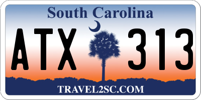 SC license plate ATX313