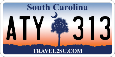 SC license plate ATY313