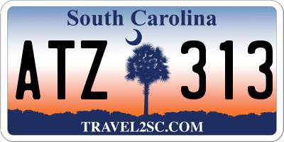 SC license plate ATZ313