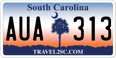 SC license plate AUA313