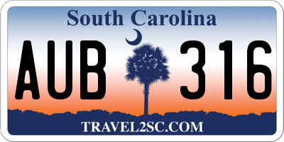 SC license plate AUB316