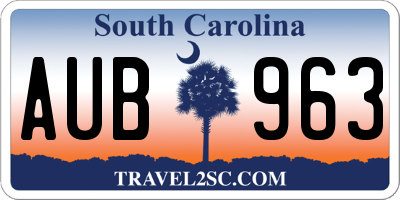 SC license plate AUB963