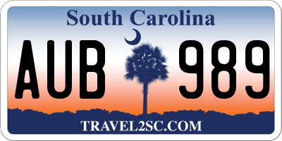 SC license plate AUB989