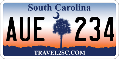 SC license plate AUE234