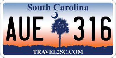 SC license plate AUE316