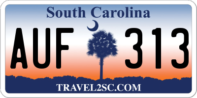 SC license plate AUF313