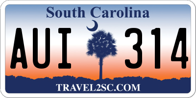 SC license plate AUI314