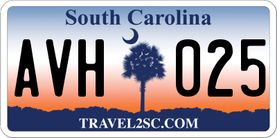SC license plate AVH025