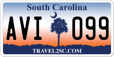SC license plate AVI099