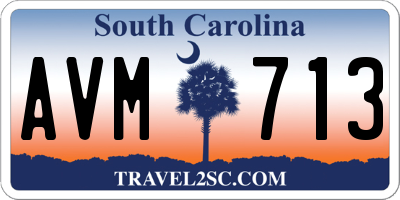 SC license plate AVM713