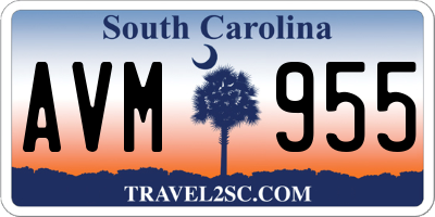 SC license plate AVM955