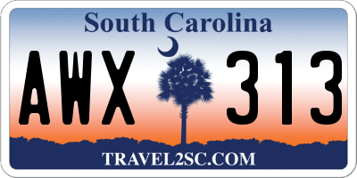 SC license plate AWX313