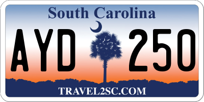 SC license plate AYD250
