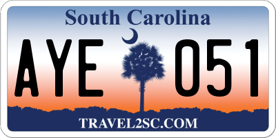 SC license plate AYE051