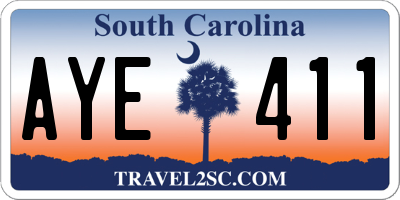 SC license plate AYE411